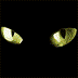 dvd-catalyst-icon