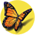freestyle-auto-assist-icon