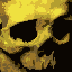 gecko-code-manager-icon