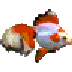goldfish-aquarium-icon