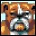 immonitor-icon
