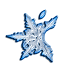 ireb-icon