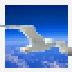 jvc-digital-photo-navigator-icon