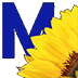 mainconcept-reference-icon