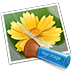 neat-image-icon