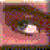 nmapwin-icon