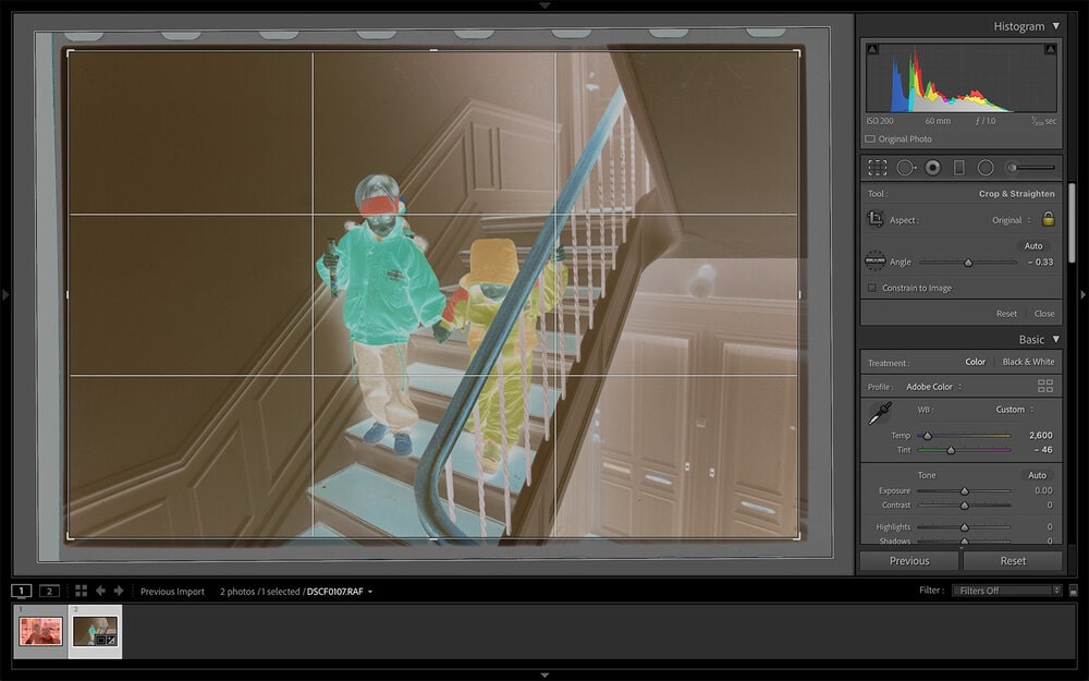 negative-lab-pro-raw-image