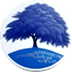 bluewillow-icon