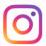 instagram_steal-icon.jpg