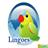 lingoes-icon