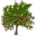 windirstat-icon