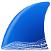 wireshark-icon