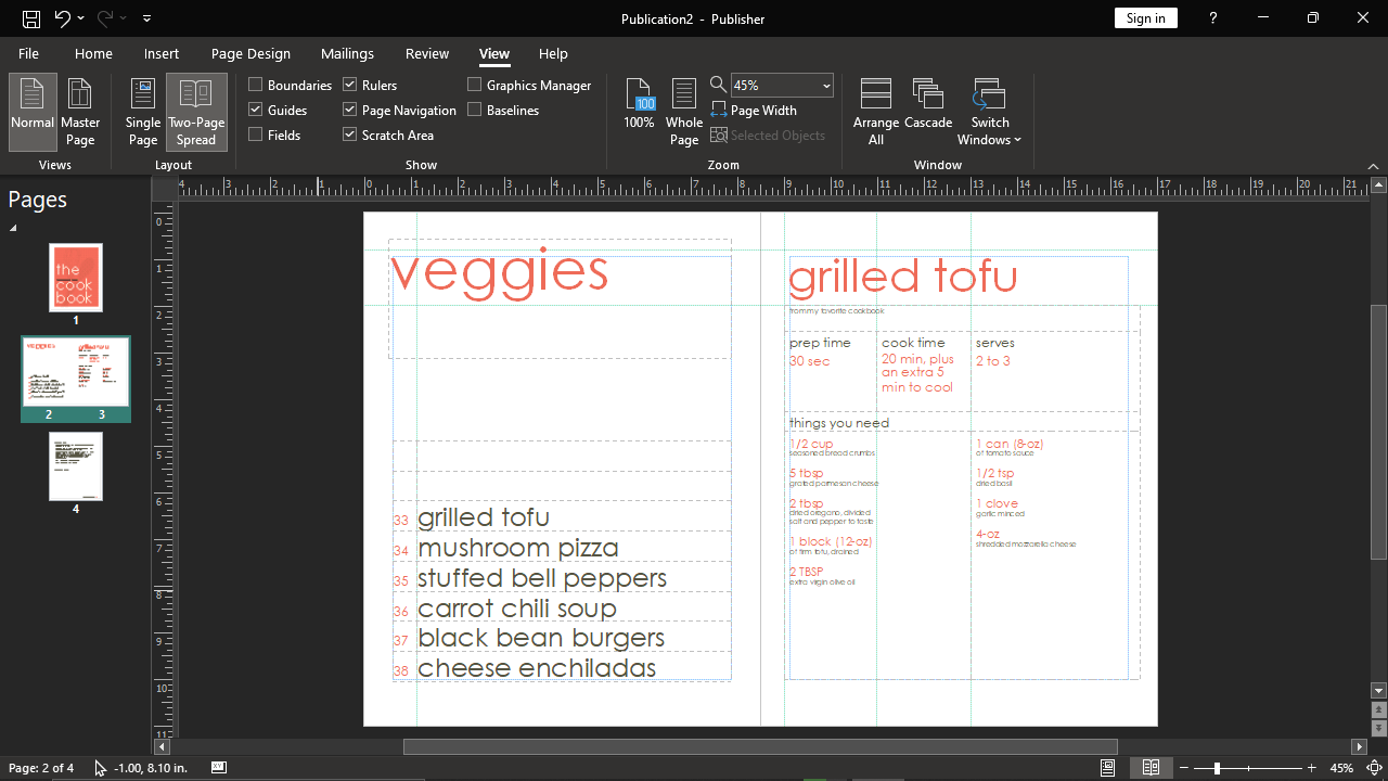 microsoft-publisher-view-options